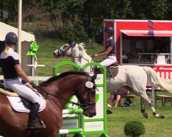 Reitturnier Rendsburg 2019