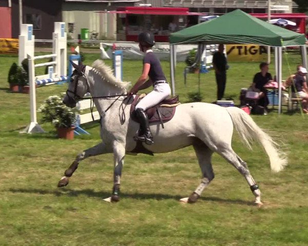 Reitturnier Rendsburg 2019