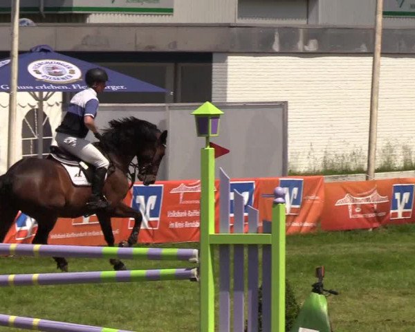 Reitturnier Rendsburg 2019