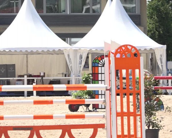 Reitturnier Zug 2019