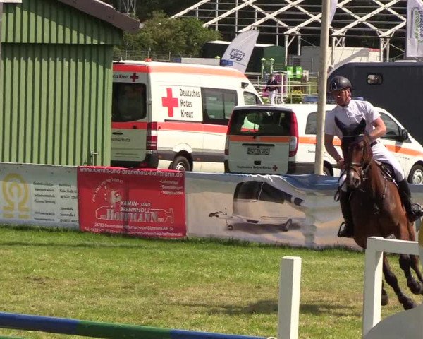 Reitturnier Rendsburg 2019