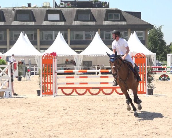 Reitturnier Zug 2019