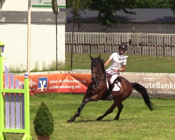 Reitturnier Rendsburg 2019