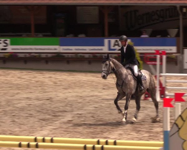 Reitturnier Lgl.-Oberhain, B95 2019