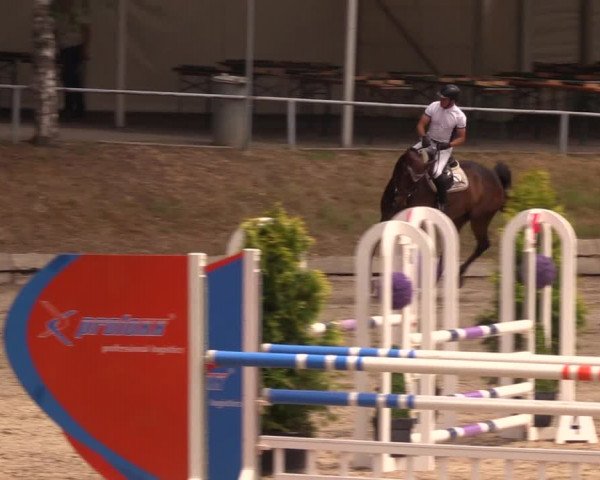 Reitturnier Lgl.-Oberhain, B95 2019
