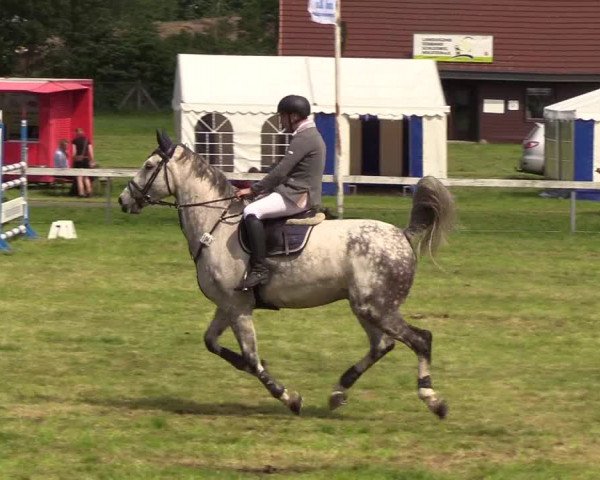 Reitturnier Rendsburg 2019