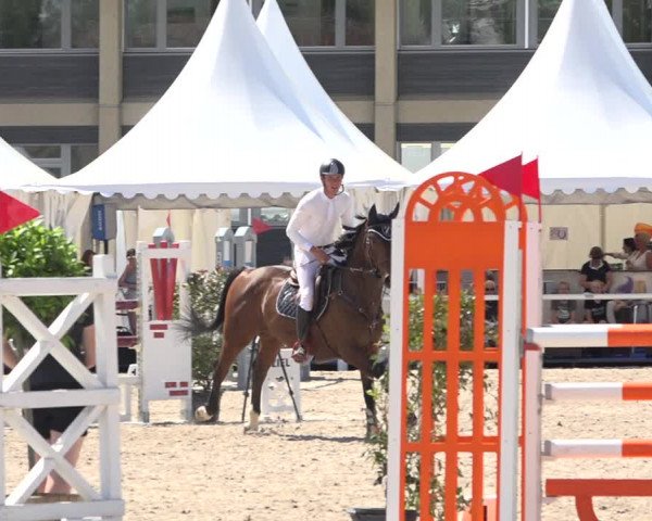 Reitturnier Zug 2019
