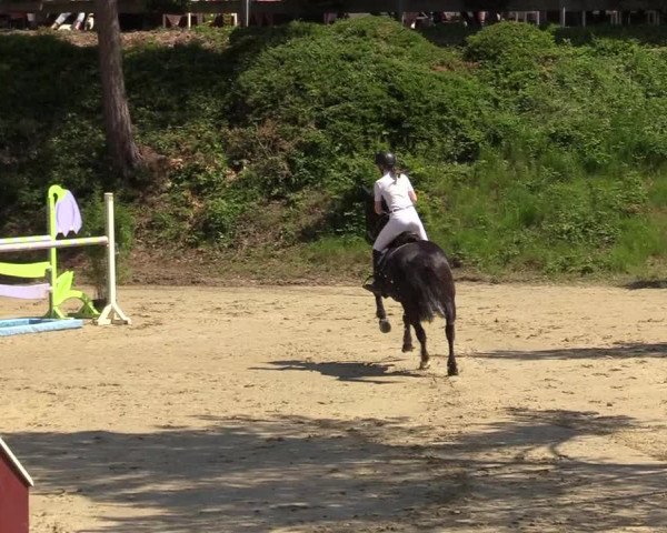 Reitturnier Iserlohn-Kalthof 2019