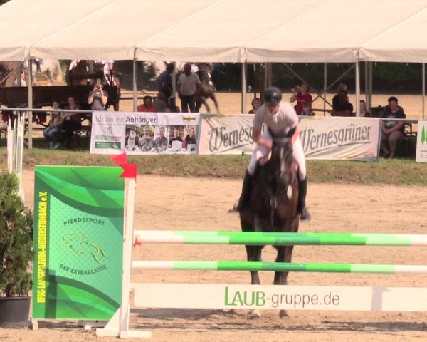 Reitturnier Lgl.-Oberhain, B95 2019