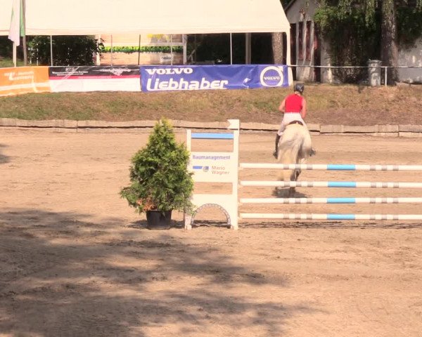 Reitturnier Lgl.-Oberhain, B95 2019