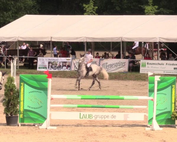 Reitturnier Lgl.-Oberhain, B95 2019