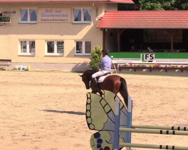 Reitturnier Lgl.-Oberhain, B95 2019