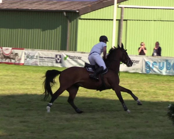 Reitturnier Rendsburg 2019