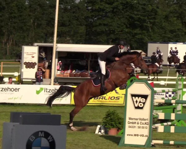 Reitturnier Rendsburg 2019