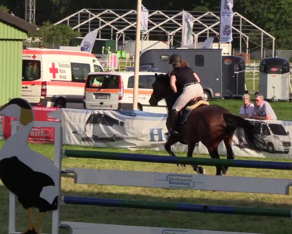 Reitturnier Rendsburg 2019