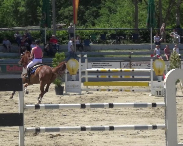 Reitturnier Zeiskam 2019
