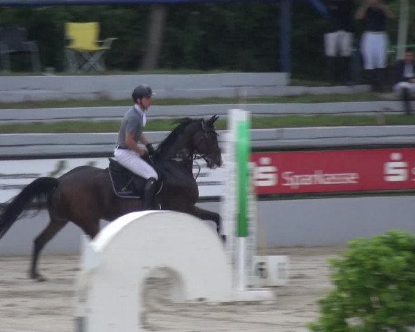 Reitturnier Zeiskam 2019