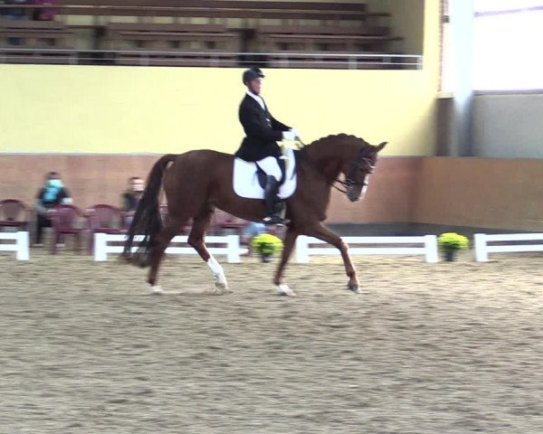 Reitturnier Frechen-Grefrath - Sonnenhof 2021