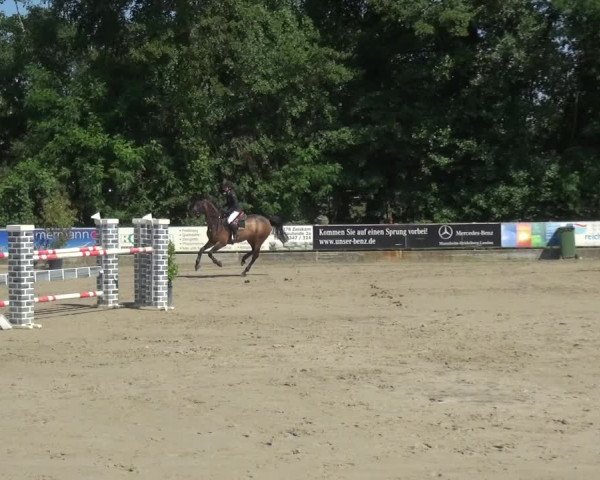 Reitturnier Zeiskam 2019