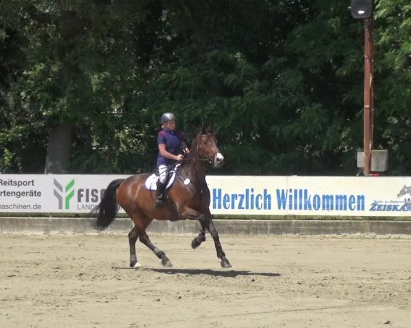 Reitturnier Zeiskam 2019