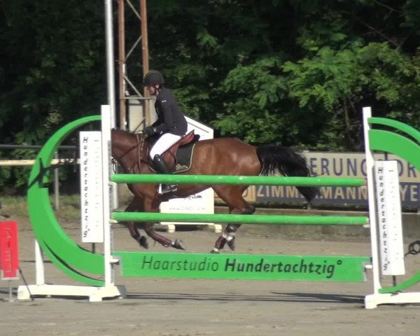 Reitturnier Zeiskam 2019