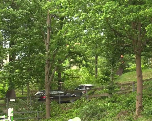 Reitturnier Iserlohn-Kalthof 2019