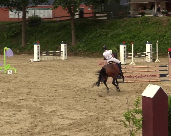 Reitturnier Iserlohn-Kalthof 2019