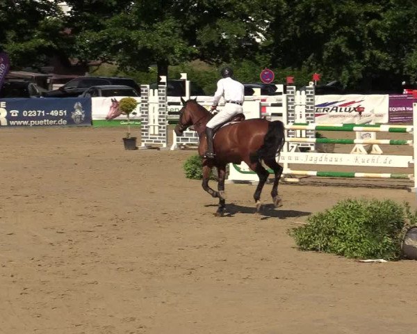 Reitturnier Iserlohn-Kalthof 2019
