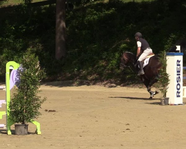 Reitturnier Iserlohn-Kalthof 2019