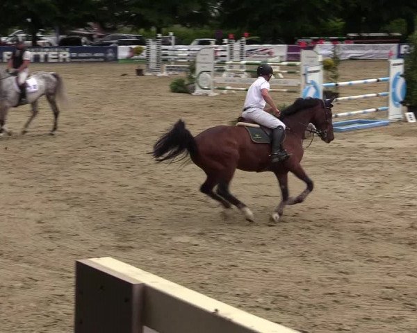 Reitturnier Iserlohn-Kalthof 2019