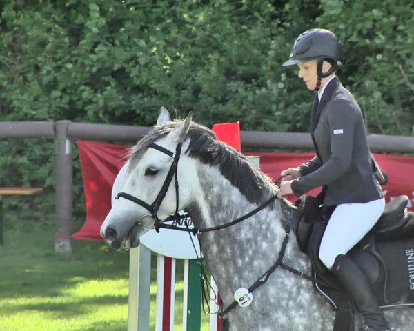 Reitturnier Jettingen 2019