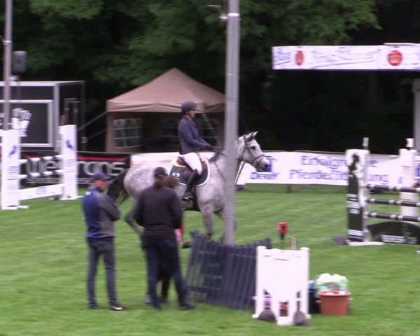 Reitturnier Borken 2019