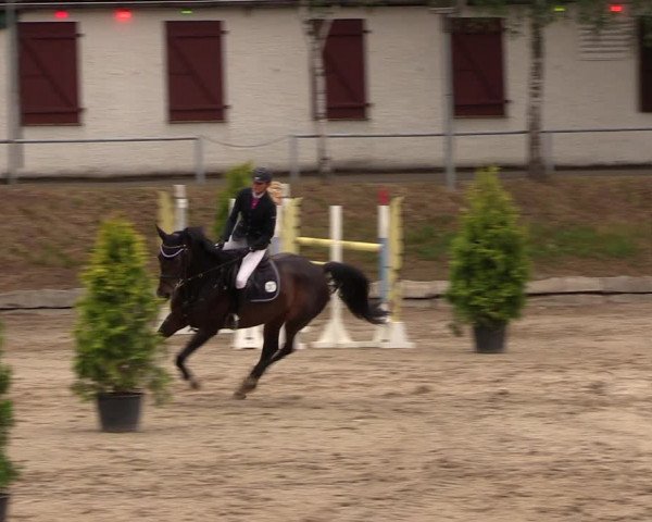Reitturnier Lgl.-Oberhain, B95 2019