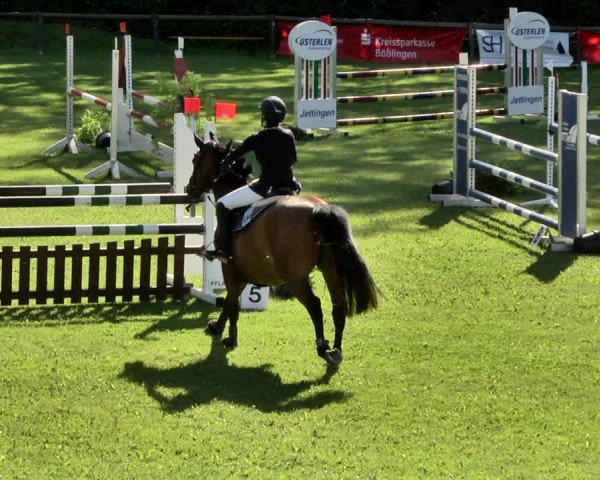 Reitturnier Jettingen 2019
