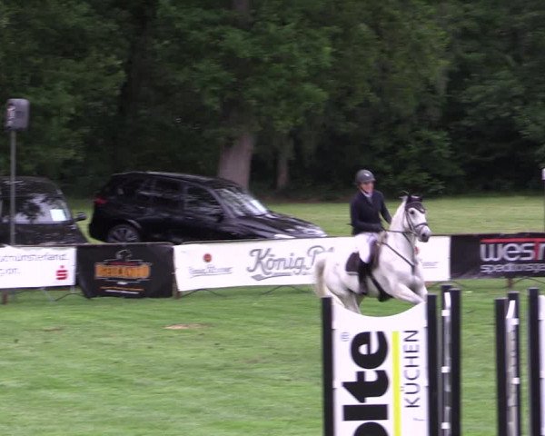 Reitturnier Borken 2019
