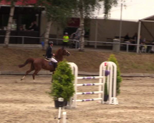 Jezdecký turnaj Lgl.-Oberhain, B95 2019