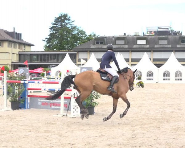Reitturnier Zug 2019