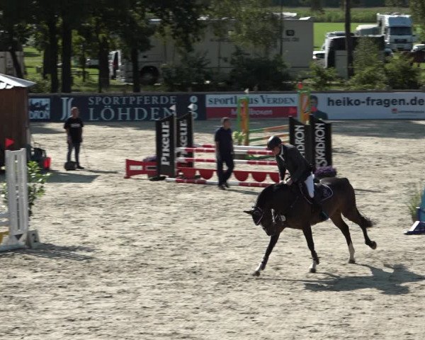 Reitturnier Westergellersen 2021