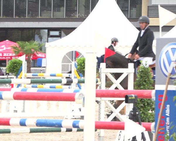 Reitturnier Zug 2019