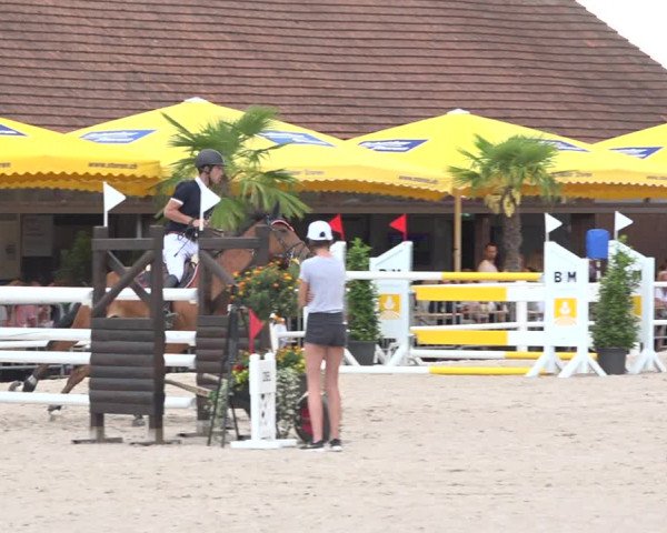 Reitturnier Zug 2019