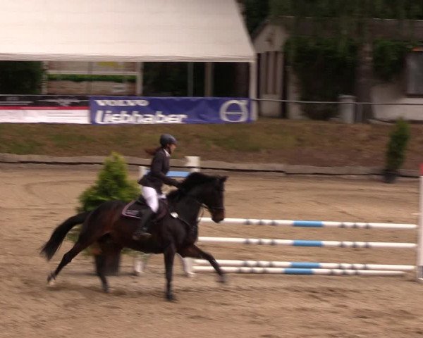 Reitturnier Lgl.-Oberhain, B95 2019