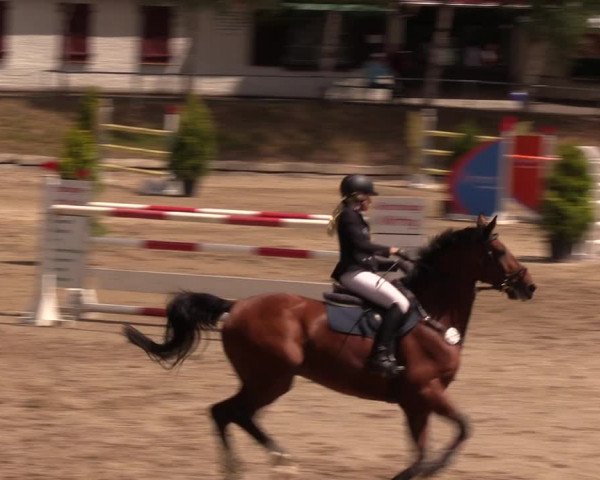 Reitturnier Lgl.-Oberhain, B95 2019
