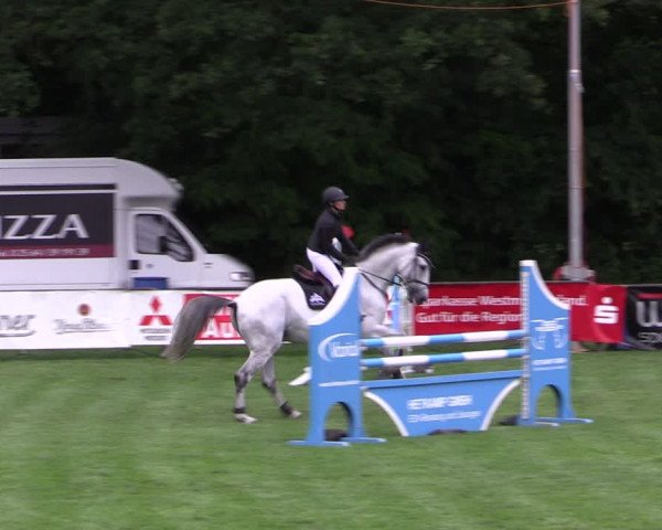 Reitturnier Borken 2019
