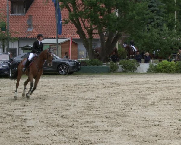 Reitturnier Bochum-Nord 2019