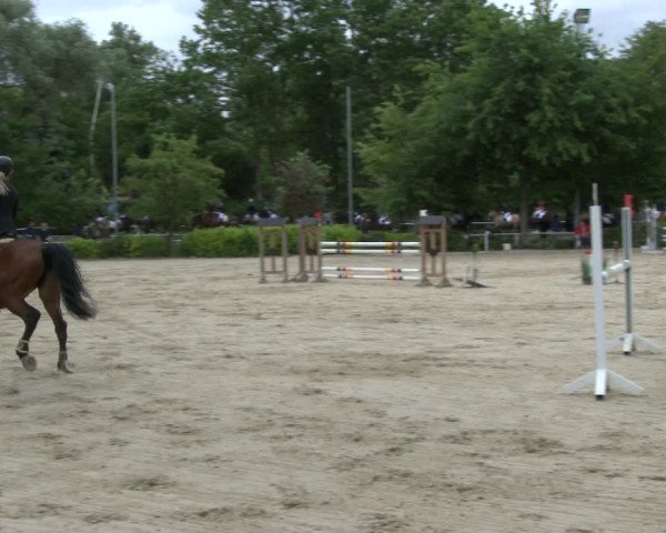 Reitturnier Bochum-Nord 2019