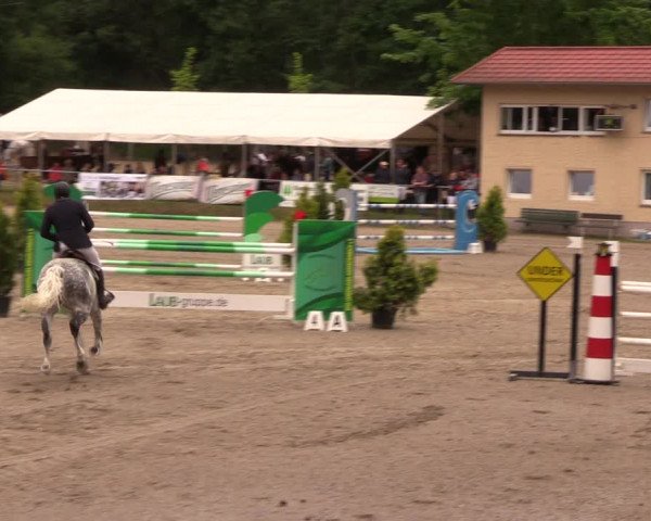 Reitturnier Lgl.-Oberhain, B95 2019