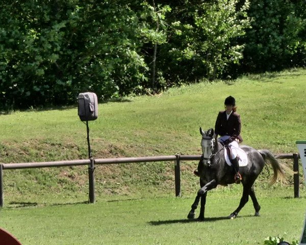Reitturnier Jettingen 2019