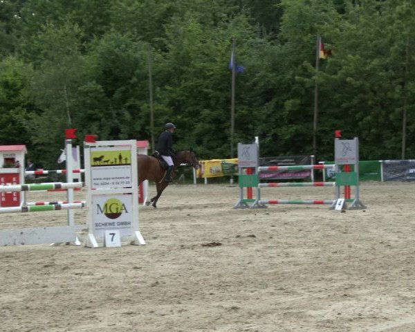 Reitturnier Bochum-Nord 2019