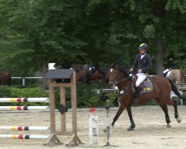Reitturnier Bochum-Nord 2019