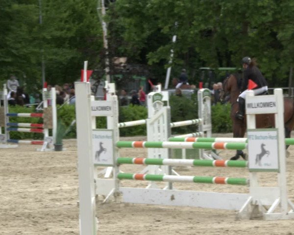 Reitturnier Bochum-Nord 2019